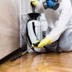 The Importance of Safe Pest Control Measures